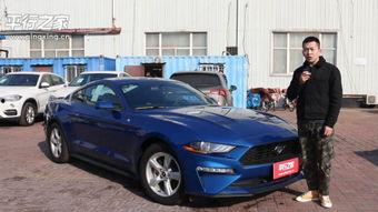 野马在线观看,探寻狂野自由的激情之旅